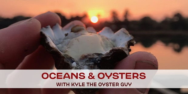 oceans-oysters-12-16.jpg