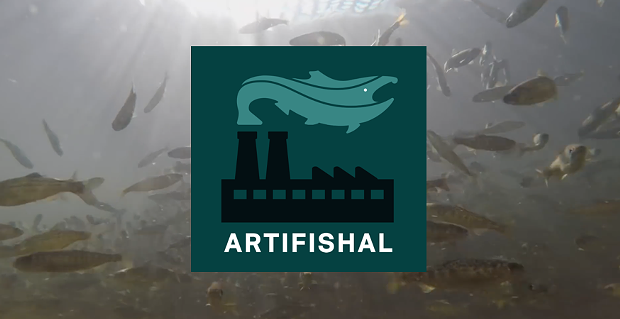 Artifishal Logo