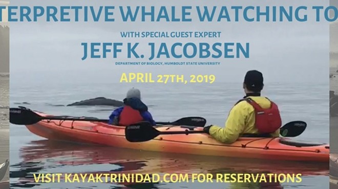 Interpretive Whale Watching Tour