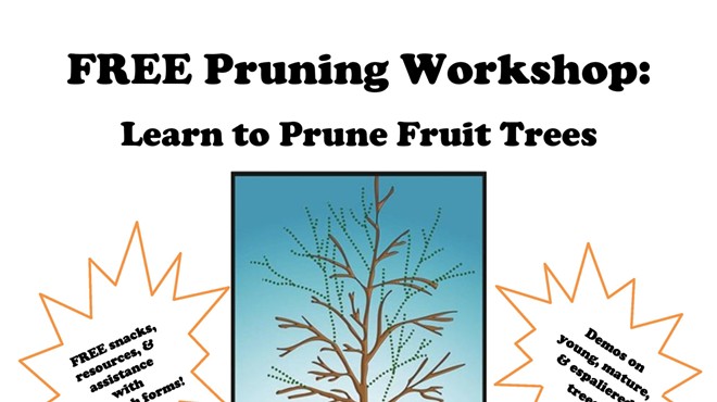 Fruit Tree Pruning Workshop