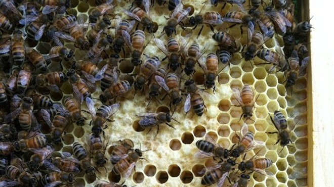 Humboldt County Beekeepers