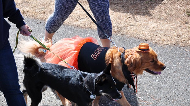 Woofstock and Mutt Strut