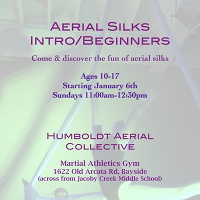 Teen Aerial Silks Class