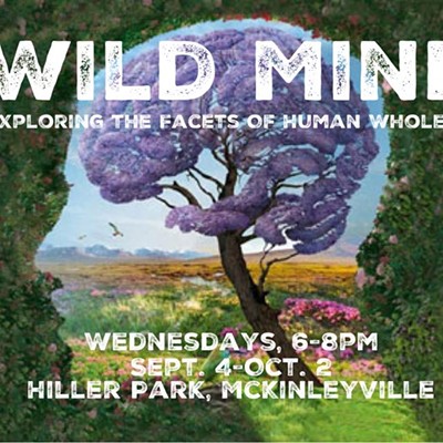 Wild Mind: Exploring Facets Of Human Wholeness