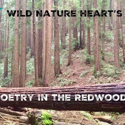 Poetry In the Redwoods