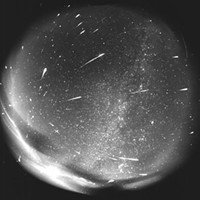 156 bolides were detected on a single (pointed) photographic plate of the all sky fish-eye photographic camera during the Leonid meteor shower in 1998 at Modra observatory. The exposure time was 4 hours.
