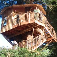 A Home in a Redwood