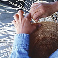 A Hoopa/Yurok weaver makes an acorn cooking basket from hazel sticks and spruce roots (which swell when wet to make a waterproof basket for cooking). Photo by Jennifer Kalt