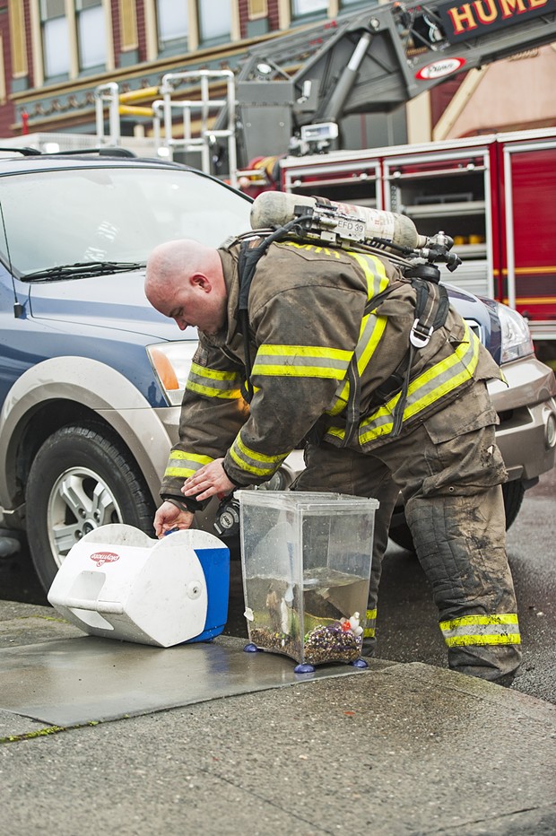 A Humboldt Bay firefighter transfers a rescued beta fish from the smokey water in its tank into a freshly filled cooler. Fire crews also rescued two dogs from the blaze. - MARK MCKENNA