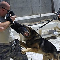 Air Force Public Affairs Sgt. J.G. Buzanowski snaps a photo of a military working dog, who snaps back in his own way. Photo courtesy of J.G. Buzanowski