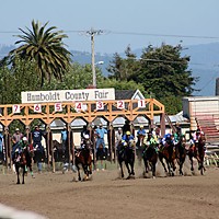 And they're off! Horses leave the starting gate at a 2008 Ferndale Race.