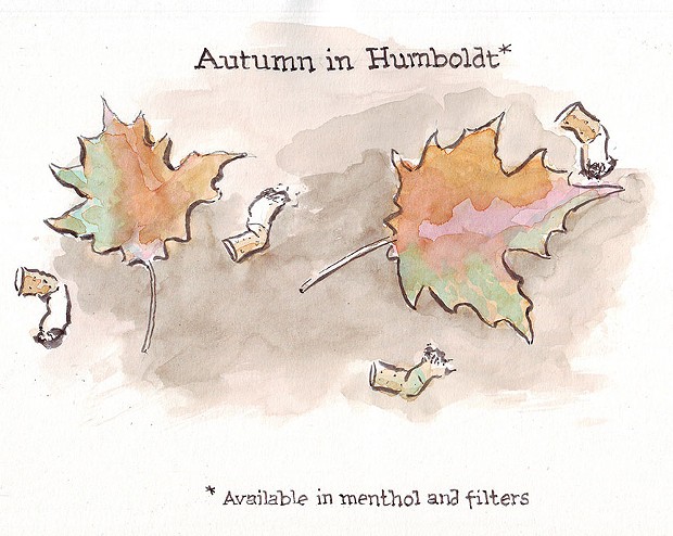 Autumn in Humboldt