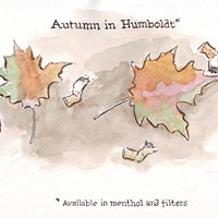 Autumn in Humboldt