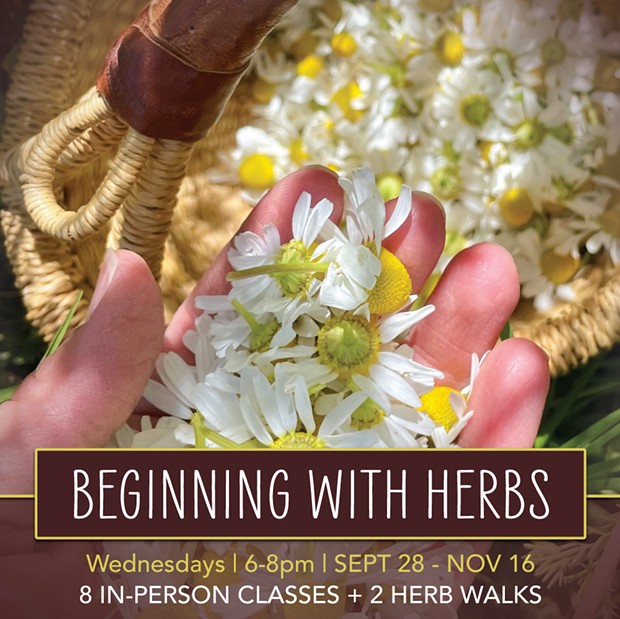 Beginning With Herbs