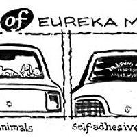 Rear Windows of Eureka Motorists