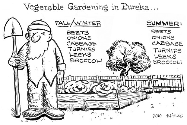 Vegetable Gardening in Eureka...