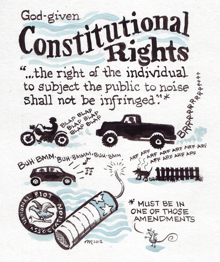 Constitutional Rights - JOEL MIELKE