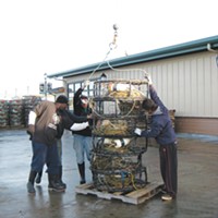 Crews Preparing crab pots for loading.