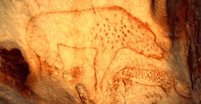 Cultural evolution in action: 32,000-year-old painting of spotted hyena, Chauvet cave, France. - CARLA HUFSTEDLER, WIKIMEDIA COMMONS