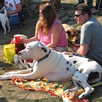 dogs and their people at Woofstock