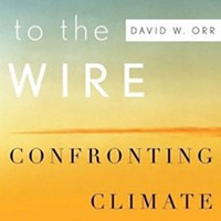<em>Down to the Wire: Confronting Climate Collapse</em>