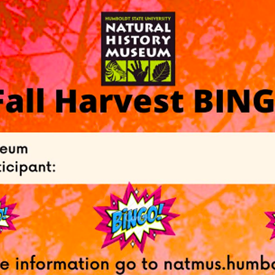 Fall Harvest Bingo for Kids