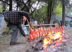 PHOTO BY MALCOLM TERENCE - Frank Lake positions stakes with Chinook salmon fillets around a hot bed of madrone coals in a small grove between the MKWC building and the Klamath River.