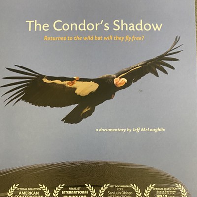 DVD cover for The Condor's Shadow film documentary by Jeff McLoughlin