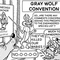 Gray Wolf Convention
