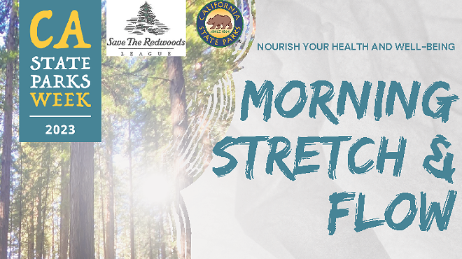 Guided Morning Stretch and Flow