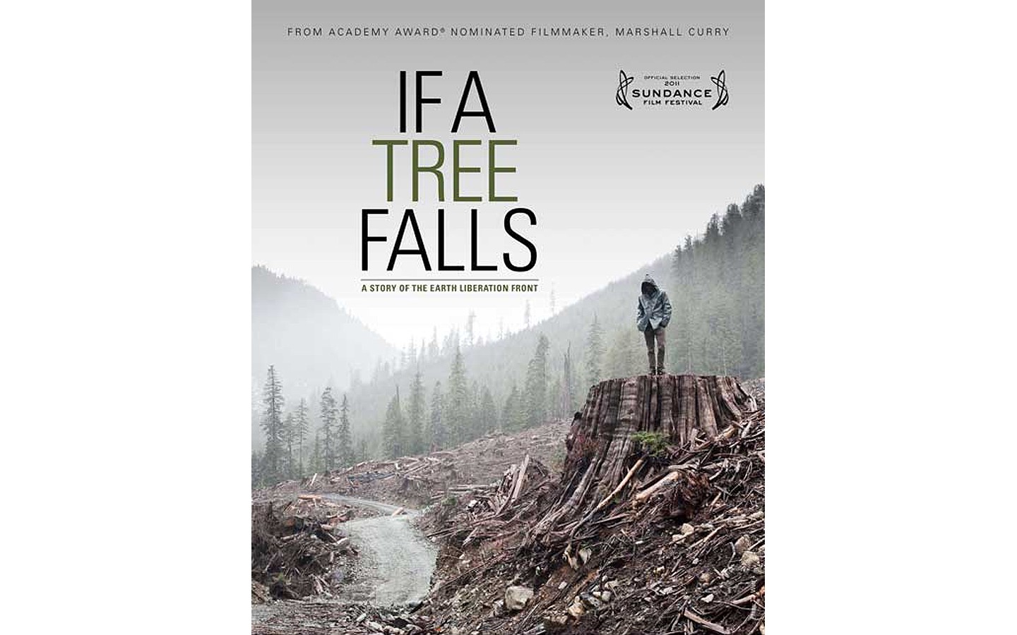 If A Tree Falls: A Story of Earth Liberation Front - PRODUCED AND DIRECTED BY MARSHALL CURRY AND SAM CULLMAN