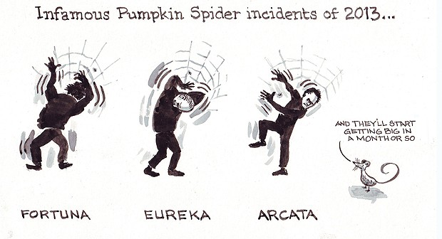 Infamous Pumpkin Spider Incident of 2013 …