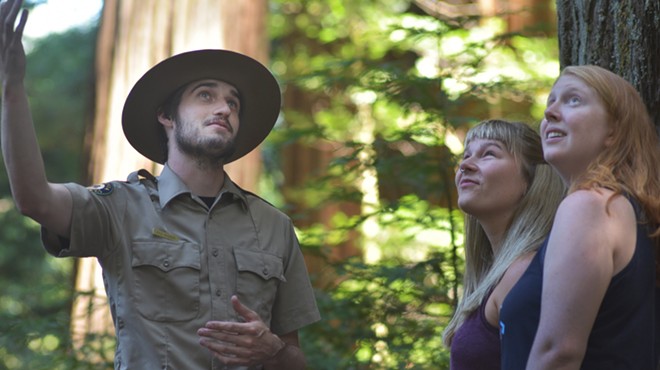 Interpreter Guided Redwood Forest Hike