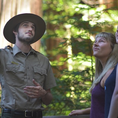 State Park Interpreter leads visitors on a guided hike in the redwood forest.