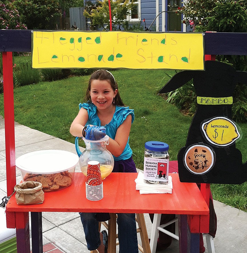 Kids are encouraged to support a favorite cause with some of their lemonade revenues. - PHOTO COURTESY OF LEMONADE DAY