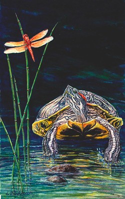 Linda Parkinson's "Red Eared Turtle" rears its head at Blake's Books.
