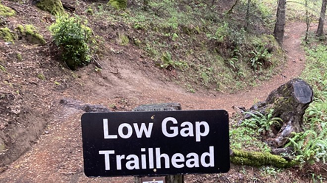 Lost Coast Trail Stewards Work Day - Low Gap Trail