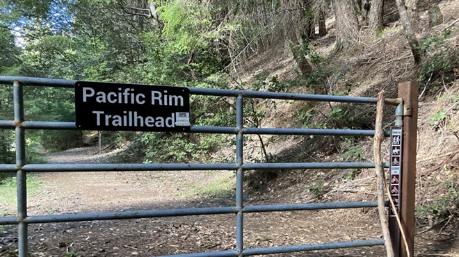 Lost Coast Trail Stewards Work Day - Pacific Rim Trail