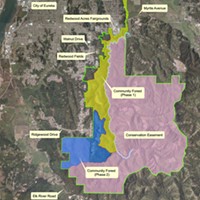 McKay Tract Community Forest: Five Thumbs Up