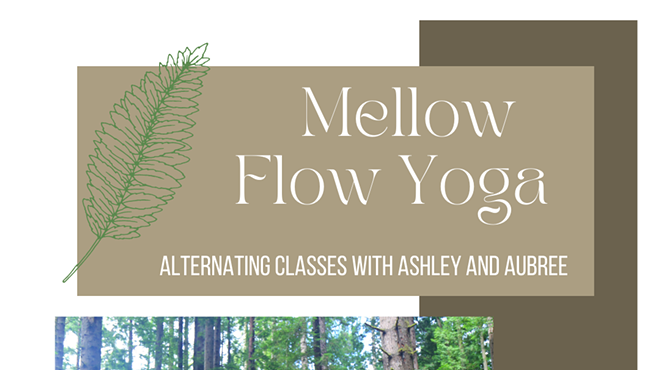 Mellow Yoga Flow