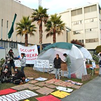 Occupy Eureka Wiped Out (PHOTOS)