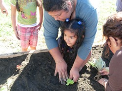 PHOTO COURTESY OF THE NCCGC - Parents teach gardening at The Family Garden in Loleta