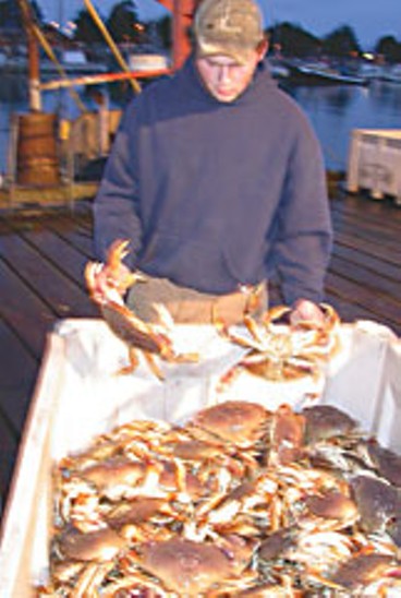 Dungeness Crab Snare Fishing From Shore – SeaWolf Fishing