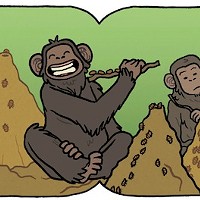 Primates: The Fearless Science of Jane Goodall, Dian Fossey and Birut&eacute; Galdikas