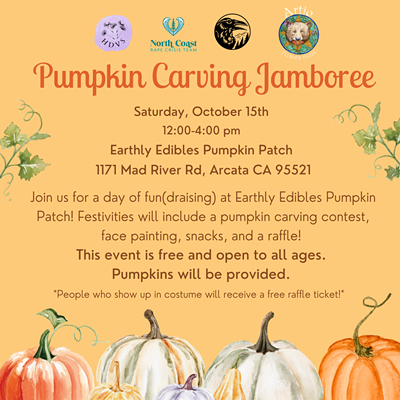 Pumpkin Carving Jamboree