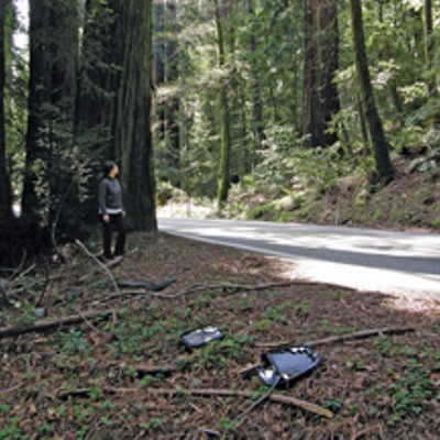 Roads and Redwoods