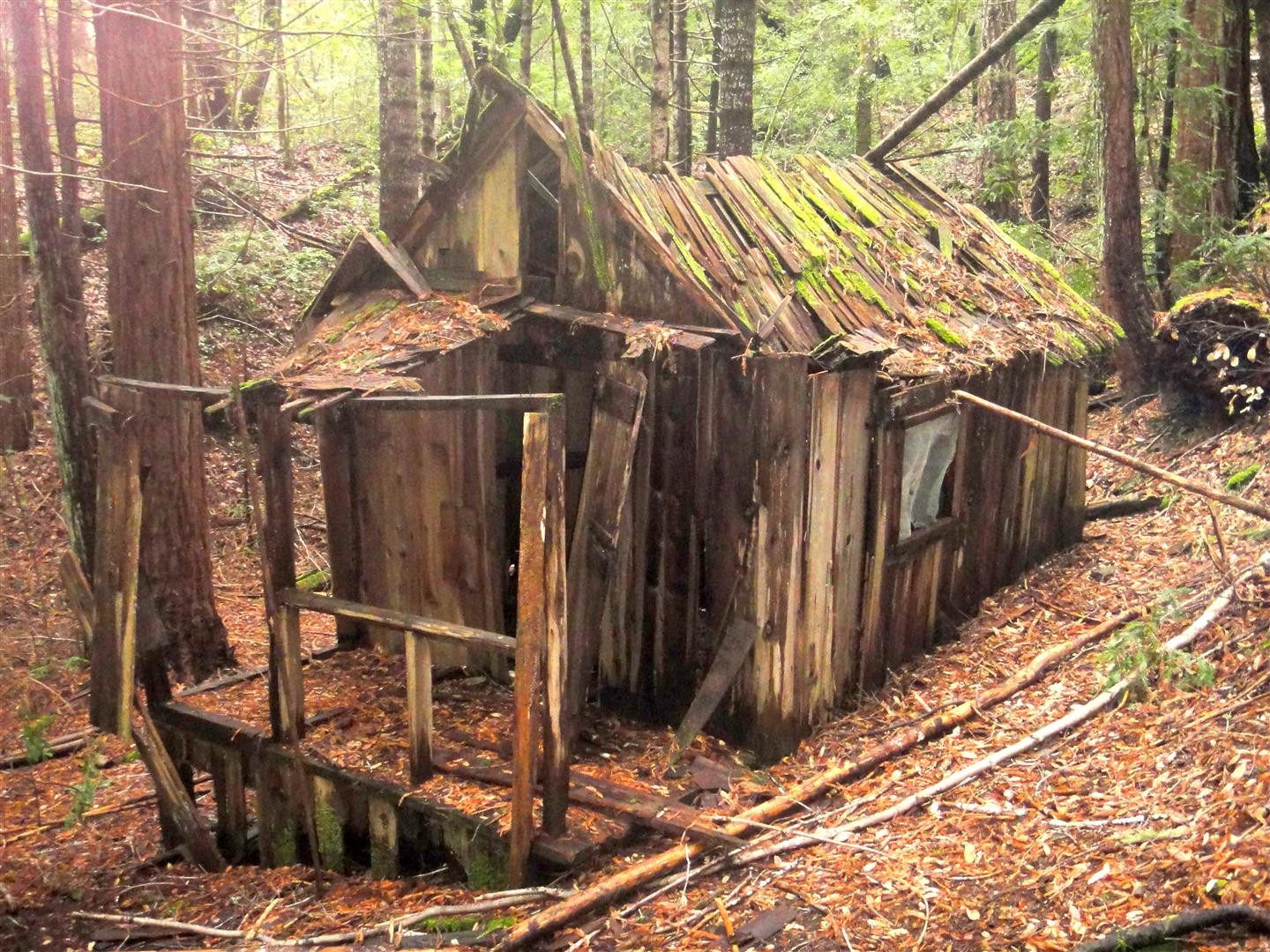 Remains of cabin at Johnson Camp - PHOTO BY BARRY EVANS