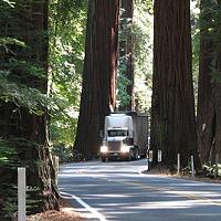 Not Exactly Curtains for Richardson Grove Widening