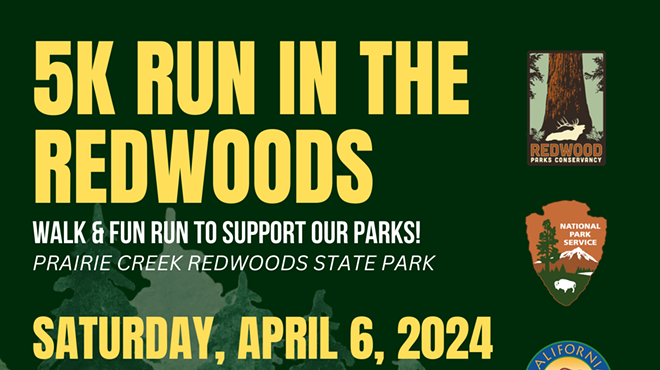 Run in the Redwoods 5k
