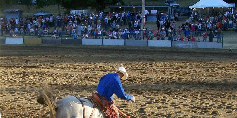 Saddle bronc busts out